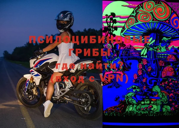 мдпв Арсеньев